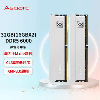 Asgard 阿斯加特 32GB(16Gx2)套 DDR5 6000频 台式机内存条 钛银甲--弗雷