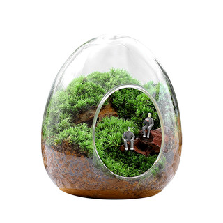 苔藓微景观生态瓶私人草坪桌面迷你盆栽办公室创意神奇