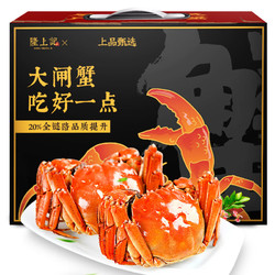 LONG SHANG JI 隆上記 隆上记 大闸蟹鲜活 公3.5-3.8两母2.5-2.8两5对10只现货实物螃蟹礼盒海鲜水产