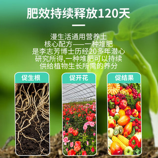 进口营养土3L通用有机种菜土养花土园艺绿植花卉绿萝盆栽基质土壤