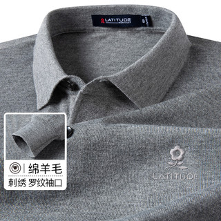 秋冬男士Polo衫长袖刺绣柔软针织T恤男 48 灰色
