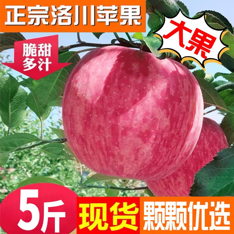 洛川苹果陕西延安红富士时令苹果水果礼盒糖心苹果生鲜新鲜脆甜整箱好吃 5斤80-85mm优级大果 净重4.5斤