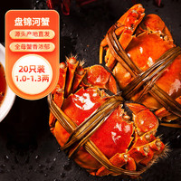 PANJINCRAB 盘锦河蟹 15只全母蟹1.0-1.3两/只 稻田蟹螃蟹大闸蟹海鲜水产