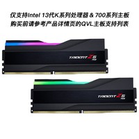 G.SKILL 芝奇 48GB(24Gx2) DDR5 8000 台式机内存条-幻锋戟RGB灯条(黯雾黑)/Intel XMP/C40