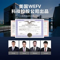 WEFV 维芙 门窗密封条隔音防风塑钢窗户防盗门缝门框贴防漏风房门挡胶条