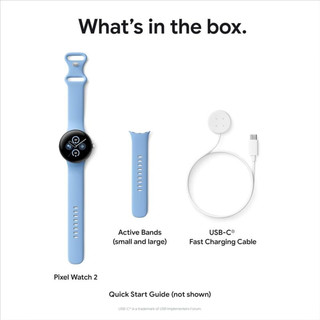谷歌（Google）Pixel Watch 2 智能手表心率追踪 压力管理身体反应监测23年 Black Case WiFi版