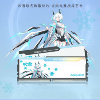 Asgard 阿斯加特 吹雪RGB DDR5 6000MHz RGB 台式机内存 灯条 白色 32GB 16GBx2 C30