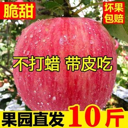 ?三人团）陕西脆甜高原红富士苹果5斤14.6元