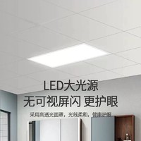 惠普精工 惠普卫生间浴室集成吊顶led灯20w