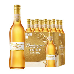 Budweiser 百威 金尊啤酒500ml*12瓶整箱瓶装