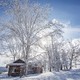  2晚洲际！把雪季该玩的都包含了，懒人友好！哈尔滨亚布力滑雪雪乡5日2-6人纯玩小团跟团游　