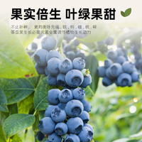 无忧农夫 瓜果蔬菜专用肥料硫酸钾镁白金肥无忧农夫番茄西瓜复合肥有机种菜