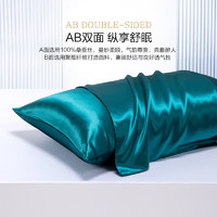 MERCURY 水星家纺 100%桑蚕丝枕面枕套真丝枕罩枕头套（单只装)