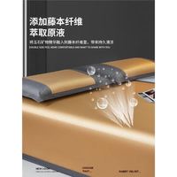 FAVMARTHA 法玛莎 凉席冰丝夏季藤席天然纯藤水洗席子冬夏两用软草席床垫 香槟金 1.8*2.2m床