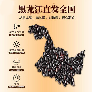 黑米5斤东北五谷杂粮农家香米糯米新货新大米黑龙江紫米