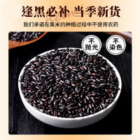 黑米5斤东北五谷杂粮农家香米糯米新货新大米黑龙江紫米