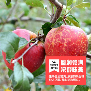 京上鲜云南昭通丑苹果甜脆苹果约6斤12枚 生鲜时令水果整箱