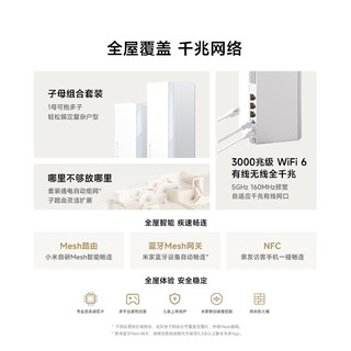 Xiaomi 小米 自营产品 Xiaomi 小米 全屋路由器子母装（1母1子）