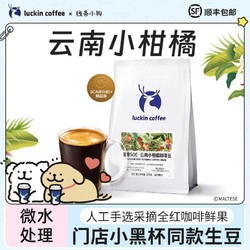 luckin coffee 瑞幸咖啡 SOE云南小柑橘精品咖啡豆中深烘焙门店同款250g不磨粉