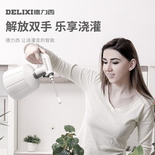 DELIXI 德力西 电动喷壶浇花消毒家用洒水壶小型高压力1L喷雾喷壶两用