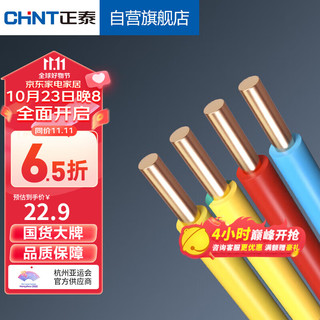 CHNT 正泰 电线电缆BV2.5国标家装铜芯硬线 电源线10米 红