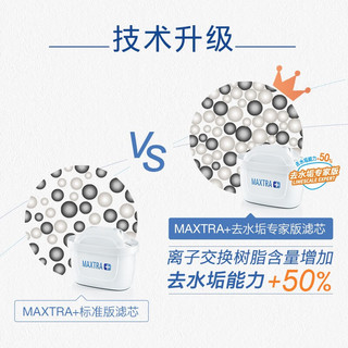 碧然德（brita） 家用净水壶 滤水壶滤芯 MAXTRA+LE 去水垢专家版滤芯 专家版滤芯9枚+设计师水壶绿（1壶10芯）