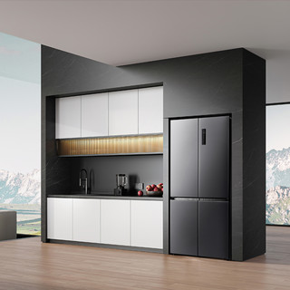 TCL 58厘米超薄平嵌436升大容量一级双变频十字嵌入式家用电冰箱
