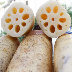 honghuxianglian 洪湖香莲 洪湖粉藕莲藕新鲜现挖正宗湖北九孔红藕