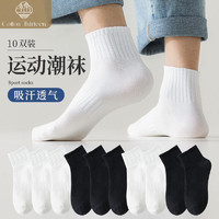 棉十三 男士短袜 10双袜子