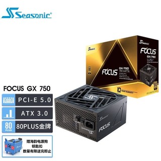 Seasonic 海韵 新版ATX3.0 海韵电源 FOCUS GX1000 850 750W全套压纹线 支持4090 ATX3.0 Focus GX-750