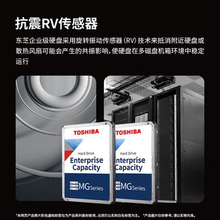 TOSHIBA 东芝 企业级硬盘10T 7200垂直CMR 256MB