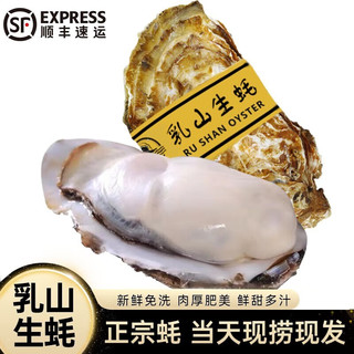 帆货 乳山生蚝鲜活特大牡蛎XXXL 5斤装 大蚝12个左右