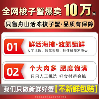 鲜味时刻 舟山超大梭子蟹新鲜蟹活冻大螃蟹冰鲜飞蟹花盖蟹生鲜 蟹类 5斤9-13只