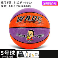 wade 青少年儿童篮球小学生幼儿园4号5号室外彩色女子小篮球大梦想