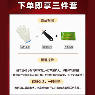 牧海翁 乳山生蚝（带官方溯源防伪标识、死蚝包赔） 超大号 XXXXXL 5斤装