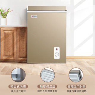 CHIGO 志高 微霜冰柜家用小型 100升节能低音小冰柜冷藏冷冻六档调节一级能耗单温卧式冷柜BD/BC-100A146DW