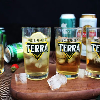 莱妙依 韩式字母玻璃杯家用喝水杯办公室泡茶杯炸鸡店啤酒杯 TERRA玻璃杯1个 220ml左右