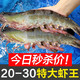  东上御品 青岛大虾基围虾 17-21cm 4斤　