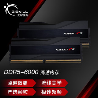 G.SKILL 芝奇 炫锋戟 DDR5 6000MHz 台式机内存条 32GB(16Gx2)套装 黯雾黑