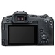 Canon 佳能 EOS R8 全画幅 微单相机 黑色 24-50mm F6.3 单头套机