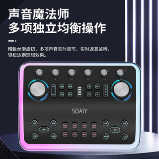 索爱（soaiy）SG60直播声卡话筒音响一体机全民k手机电脑通用无线蓝牙唱歌家庭ktv双麦克风【流光白】