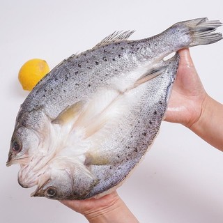XIAN YAO 鱻谣 三去海鲈鱼450-500g 开背净膛 免洗去鳞去鳃去内脏 生鲜鱼类