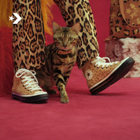 匡威（Converse） 1970S男女趣味高帮休闲鞋时髦小豹A08161C A08161C 38