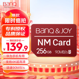 &JOY 256GB NM card