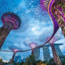 現實版綠野仙蹤，獅城新地標！新加坡濱海灣花園雙館門票