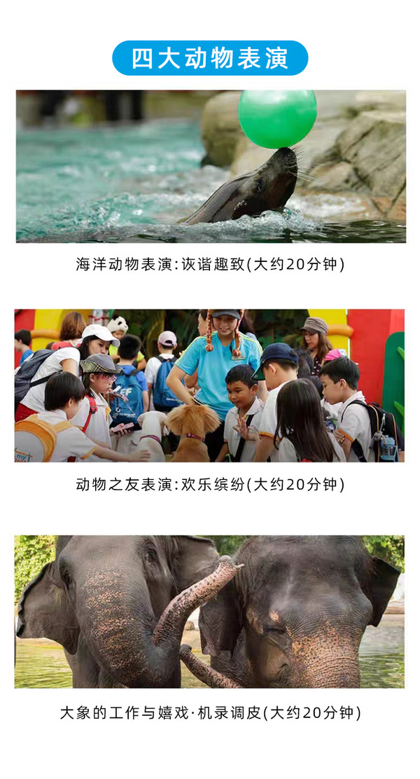全球最佳動物園之一！新加坡動物園 大門票（含游園車免預約）