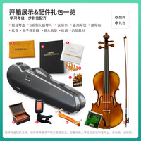 CHRISTINA EU5000C欧洲小提琴专业级考级演奏级手工收藏