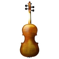 SEENWINS/圣维斯 SEENWINS圣维斯SW100手工实木小提琴初学者儿童考级入门成人初学