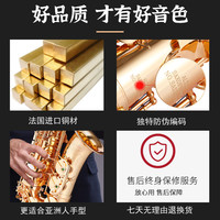 磷铜 台湾萨尔特中音萨克斯乐器SP-6700专业演奏款
