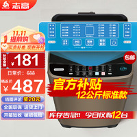 CHIGO 志高 洗衣机12KG全自动家用波轮洗衣机大容量